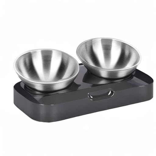 PewinGo Katzennapf-15°Kipphals-Schutzschale Edelstahl Lebensmittelqualität, Maschinenwaschbar,rutschfeste Silikonbasis,für Haustiere Katzen und Welpen