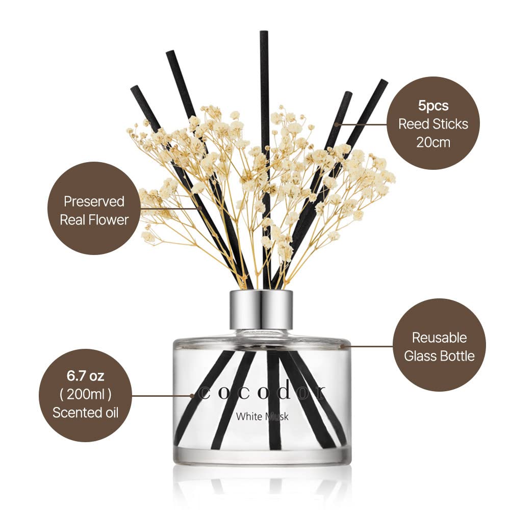 COCODOR konservierten Blume Diffusor/Schwarzkirsche/200ml, 1 Stück/Raumduft, Duftöldiffusoren, Duftstäbchen, Wohnaccessoires & Deko, Aromatherapie
