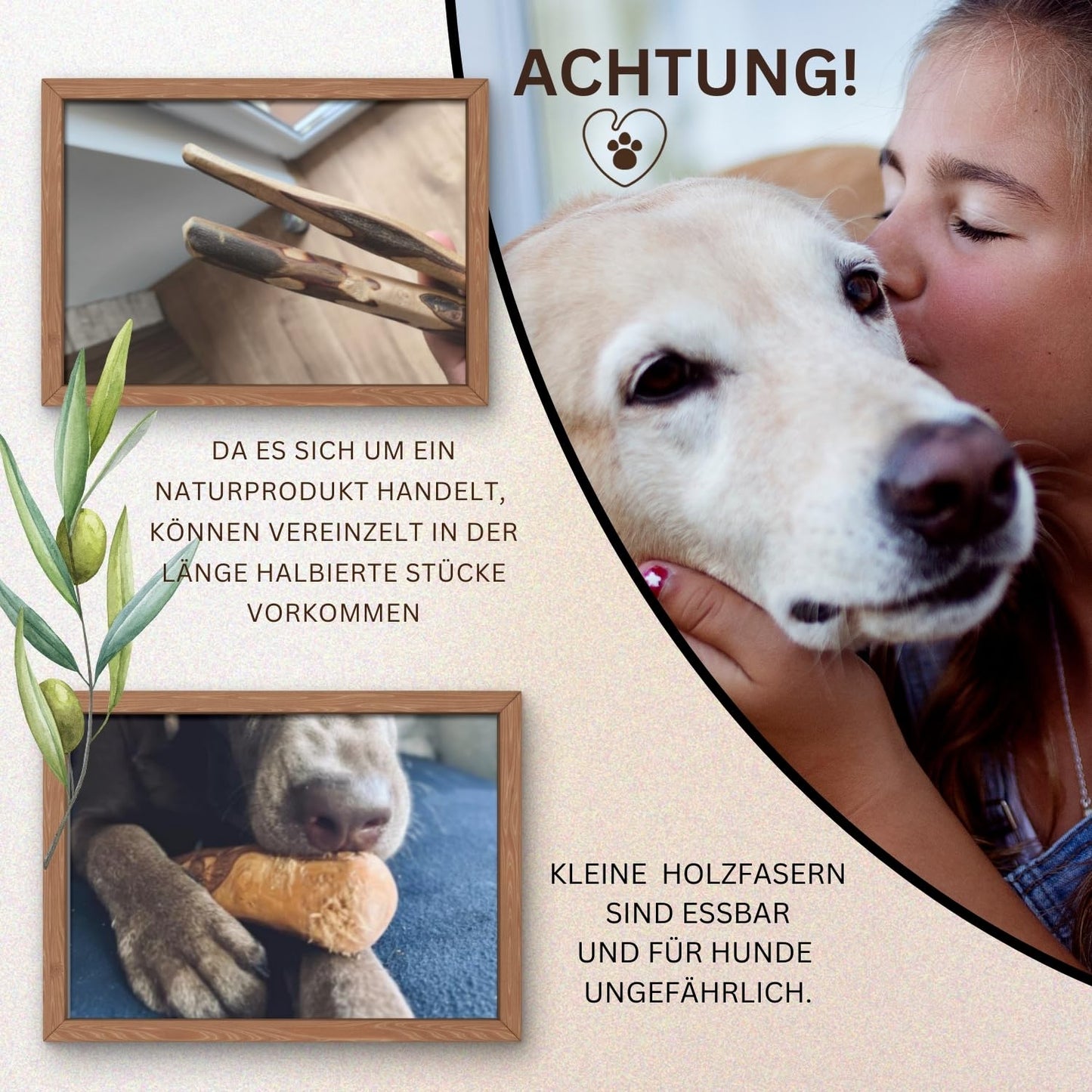 PetLove Kauholz für Hunde aus Olivenholz • Holzknochen als Hundespielzeug • Kauknochen als Zahnpflege & Kauspielzeug für Hund • Größe: S (60-99g) • Ideal für Welpen & kleine Hunde