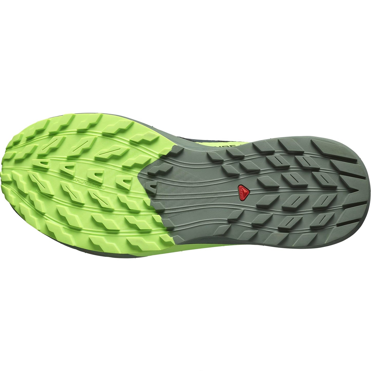 Salomon Herren Sense Ride 5 Traillaufschuhe, Black Laurel Wreath Green Gecko, 43 1/3 EU