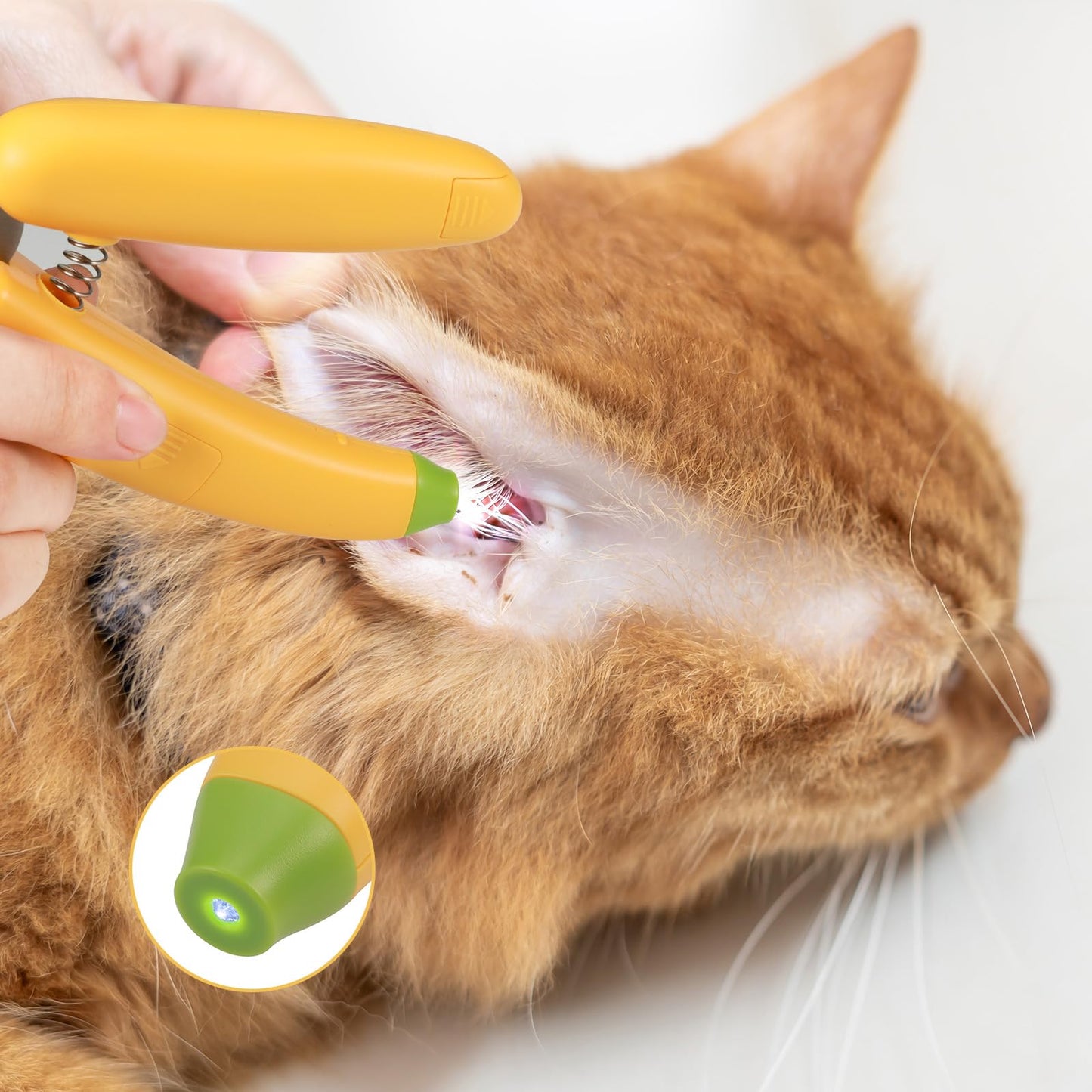 JIZZU Nagelknipser LED für Hunde Katzen, Profi Krallenschere, Nagelknipser für Katzen, krallenschere mit Led, Haustier-Nagelknipser mit Sicherheitsschild, Haustiere Krallenpflege