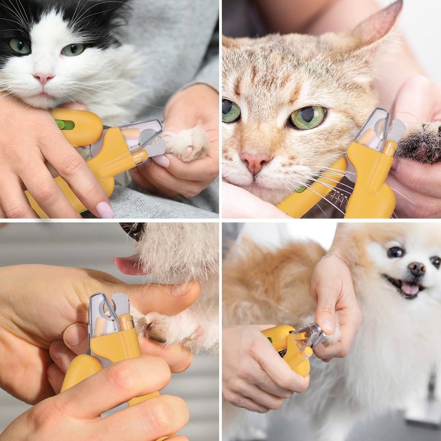 JIZZU Nagelknipser LED für Hunde Katzen, Profi Krallenschere, Nagelknipser für Katzen, krallenschere mit Led, Haustier-Nagelknipser mit Sicherheitsschild, Haustiere Krallenpflege