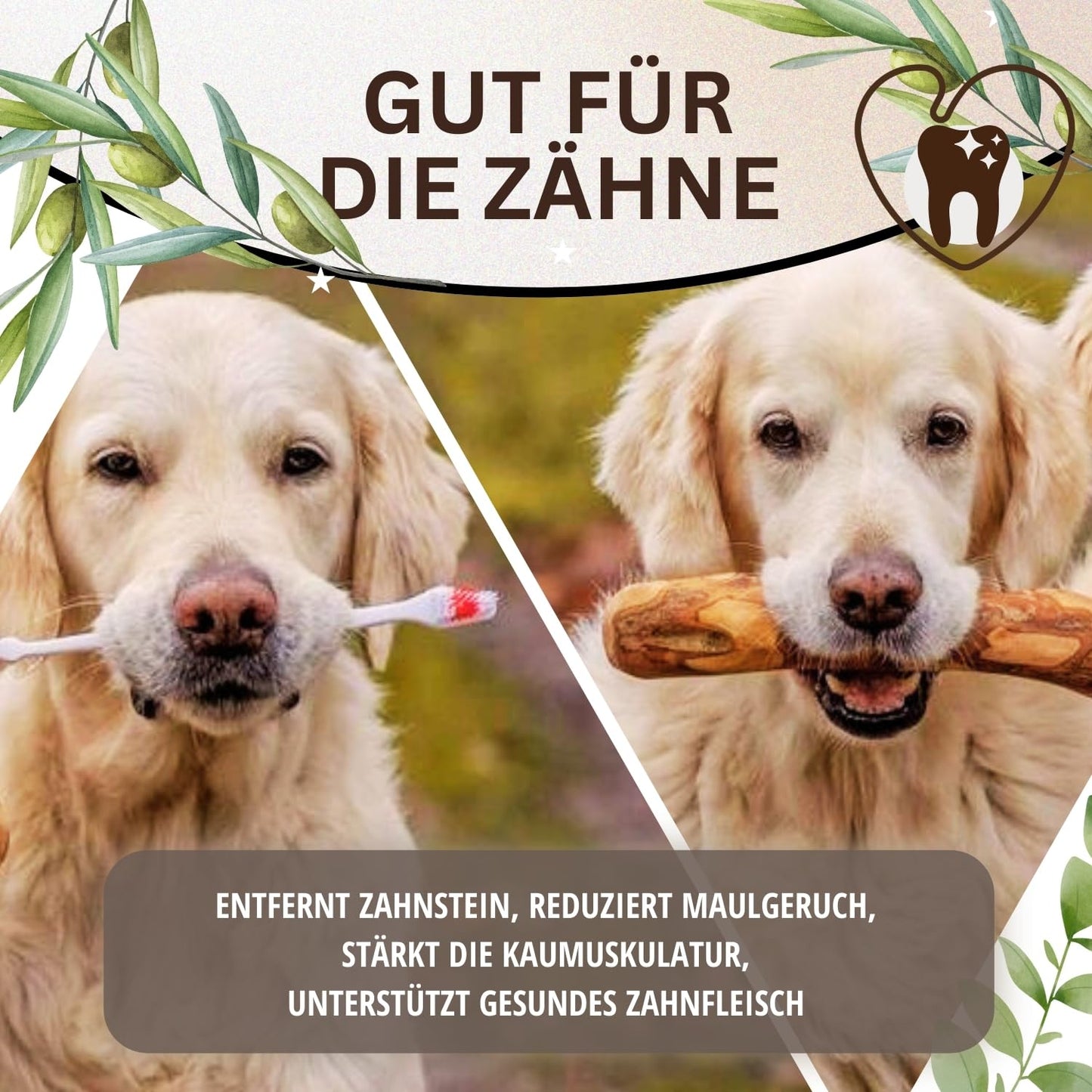 PetLove Kauholz für Hunde aus Olivenholz • Holzknochen als Hundespielzeug • Kauknochen als Zahnpflege & Kauspielzeug für Hund • Größe: S (60-99g) • Ideal für Welpen & kleine Hunde