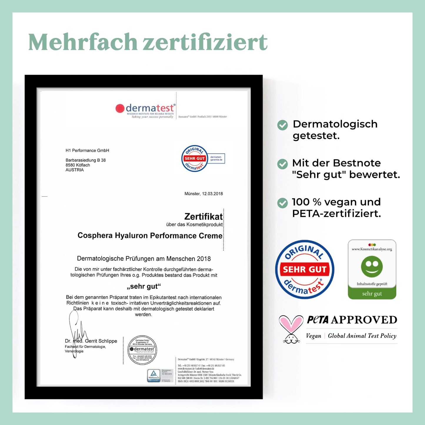 Cosphera - Hyaluron Performance Creme 50 ml - vegane Tages- und Nachtcreme hochdosiert für Gesicht, Hals, Dekolleté, Augen - Anti-Falten Feuchtigkeitsbehandlung für Frauen und Männer