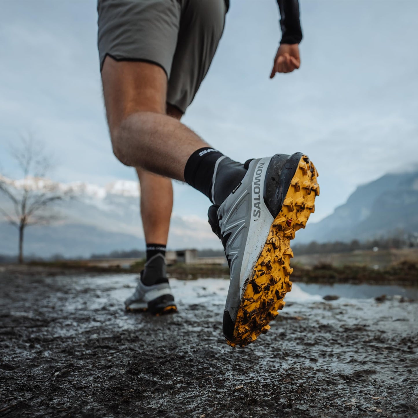 Salomon Herren Speedcross Gore-tex Trailrunning-Schuhe, Sharkskin Black Lemon, 43 1/3 EU