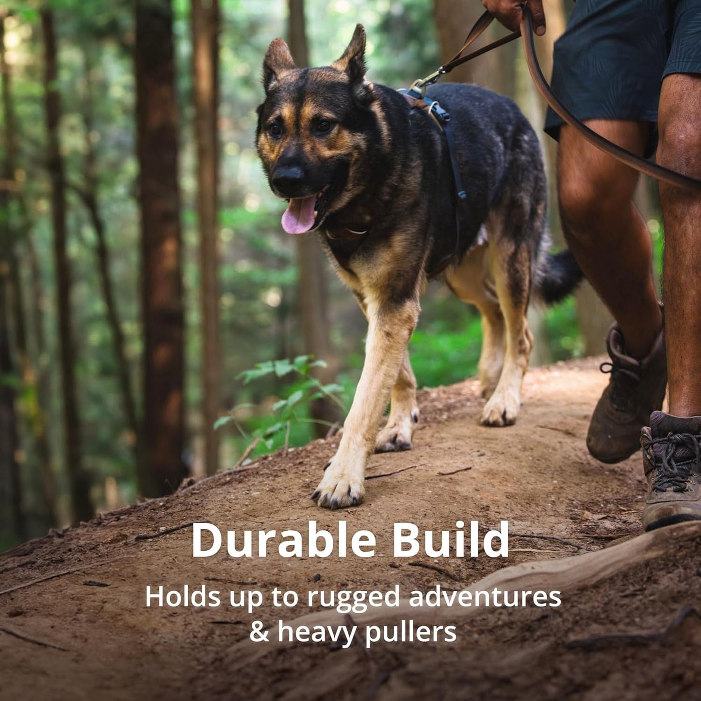 Ruffwear Front Range Hundegeschirr, reflektierendes Y-Geschirr, verstellbares, bequem gepolstertes Alltagsgeschirr für Spaziergänge und Hunderennen, 2 Leinenbefestigungen, Coastal Mountains S