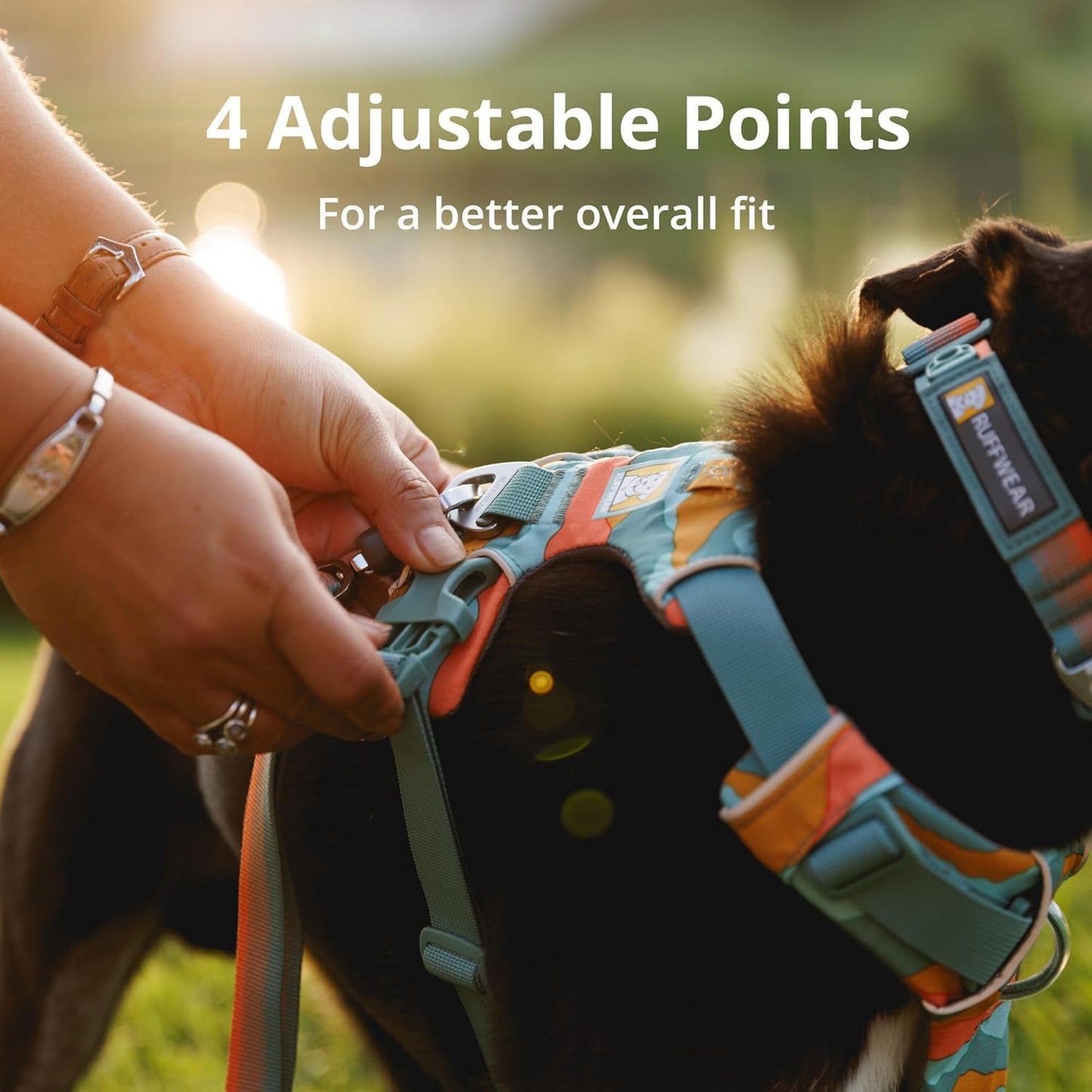 Ruffwear Front Range Hundegeschirr, reflektierendes Y-Geschirr, verstellbares, bequem gepolstertes Alltagsgeschirr für Spaziergänge und Hunderennen, 2 Leinenbefestigungen, Coastal Mountains S