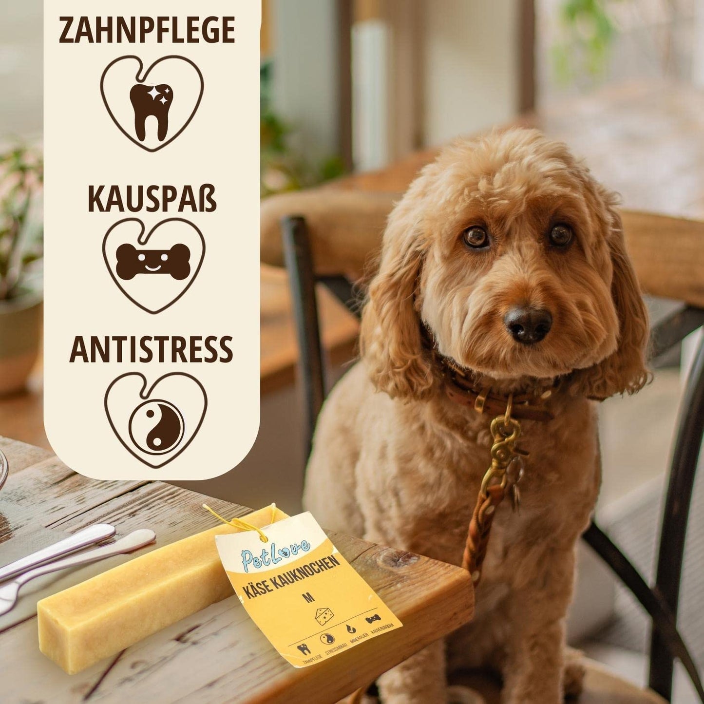 PetLove Hartkäse für Hunde • 100% natürlicher Kauknochen aus Käse • Kaukäse Hund • Kauspaß & Zahnpflege • Ideal für unterwegs • 6er Pack • Größe S: 30-50g