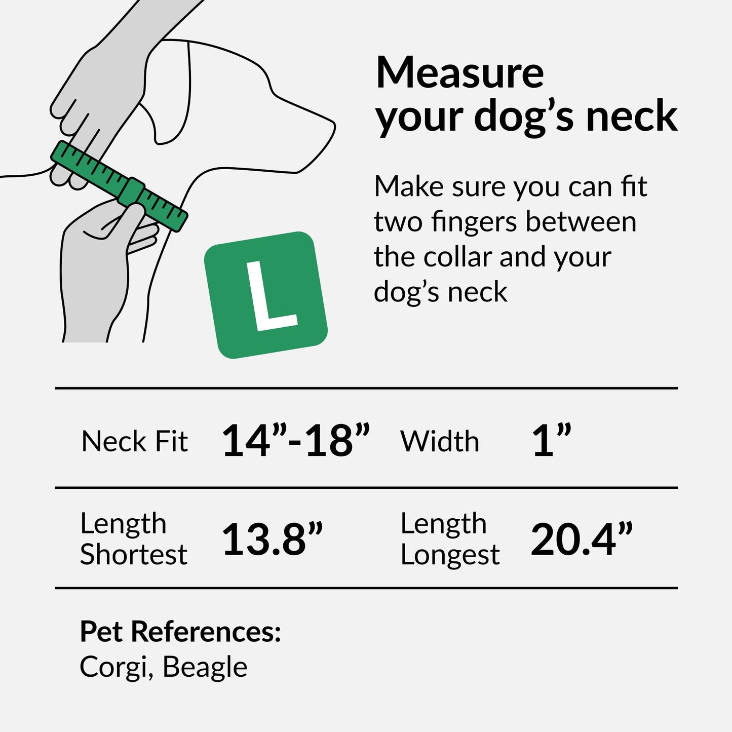 CollarDirect Reflektierendes Hundehalsband für kleinen, mittelgroßen, großen Hund, Welpen mit Schnellverschluss, Hündin, Rüde, 48 Sorten, Nylon Wasserfest