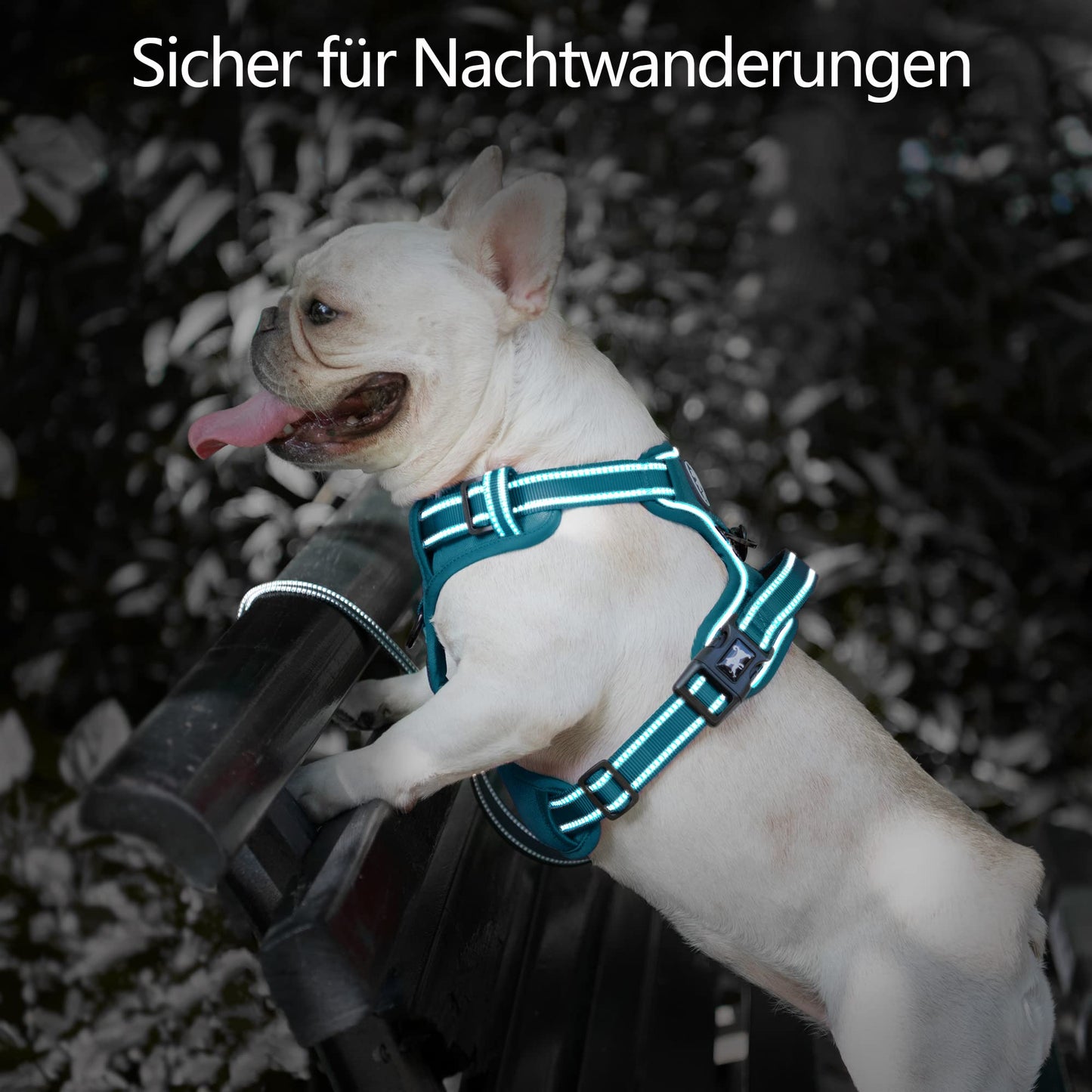 PoyPet Hundegeschirr ohne Zug, Reflektierendes Hundegeschirr für Hunde ohne Würgen, verstellbare, weich gepolsterte Haustierweste mit einfachem Steuergriff für mittelgroße Hunde (Tumalo Teal, M)