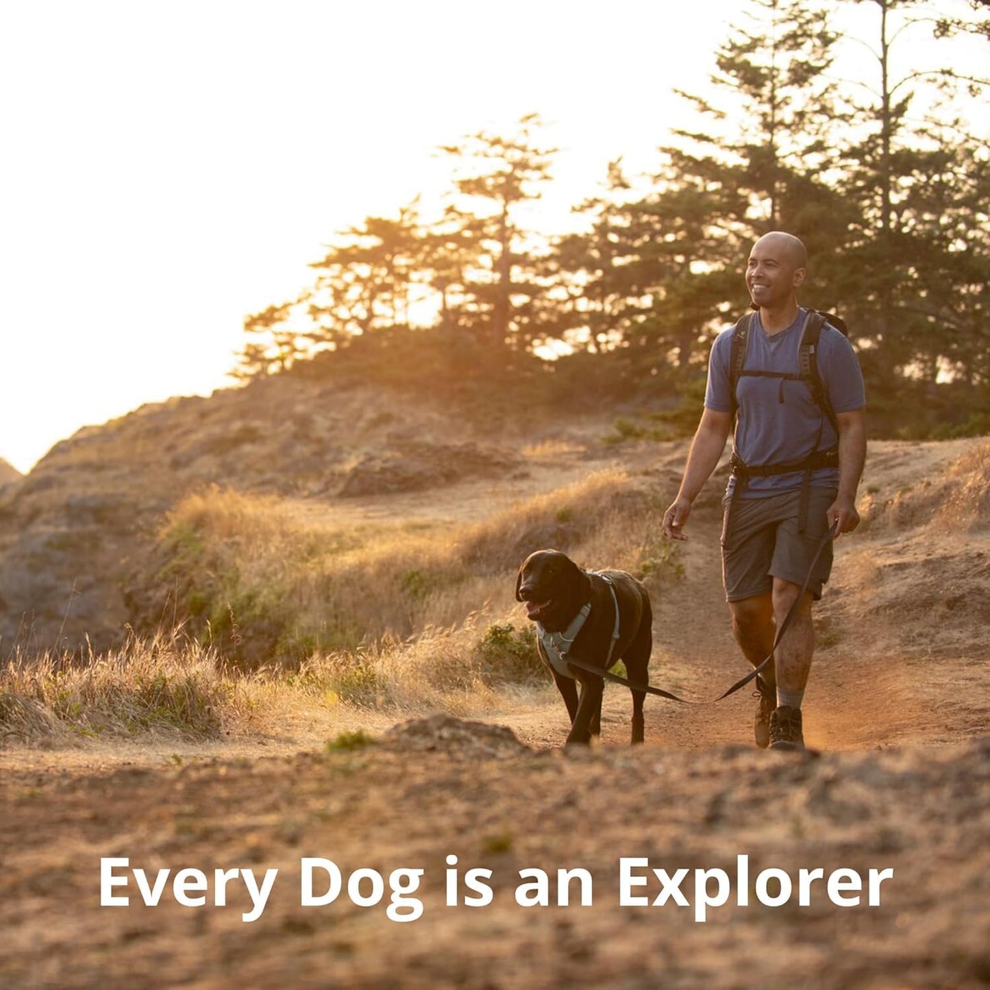 Ruffwear Front Range Hundegeschirr, reflektierendes Y-Geschirr, verstellbares, bequem gepolstertes Alltagsgeschirr für Spaziergänge und Hunderennen, 2 Leinenbefestigungen, Coastal Mountains S