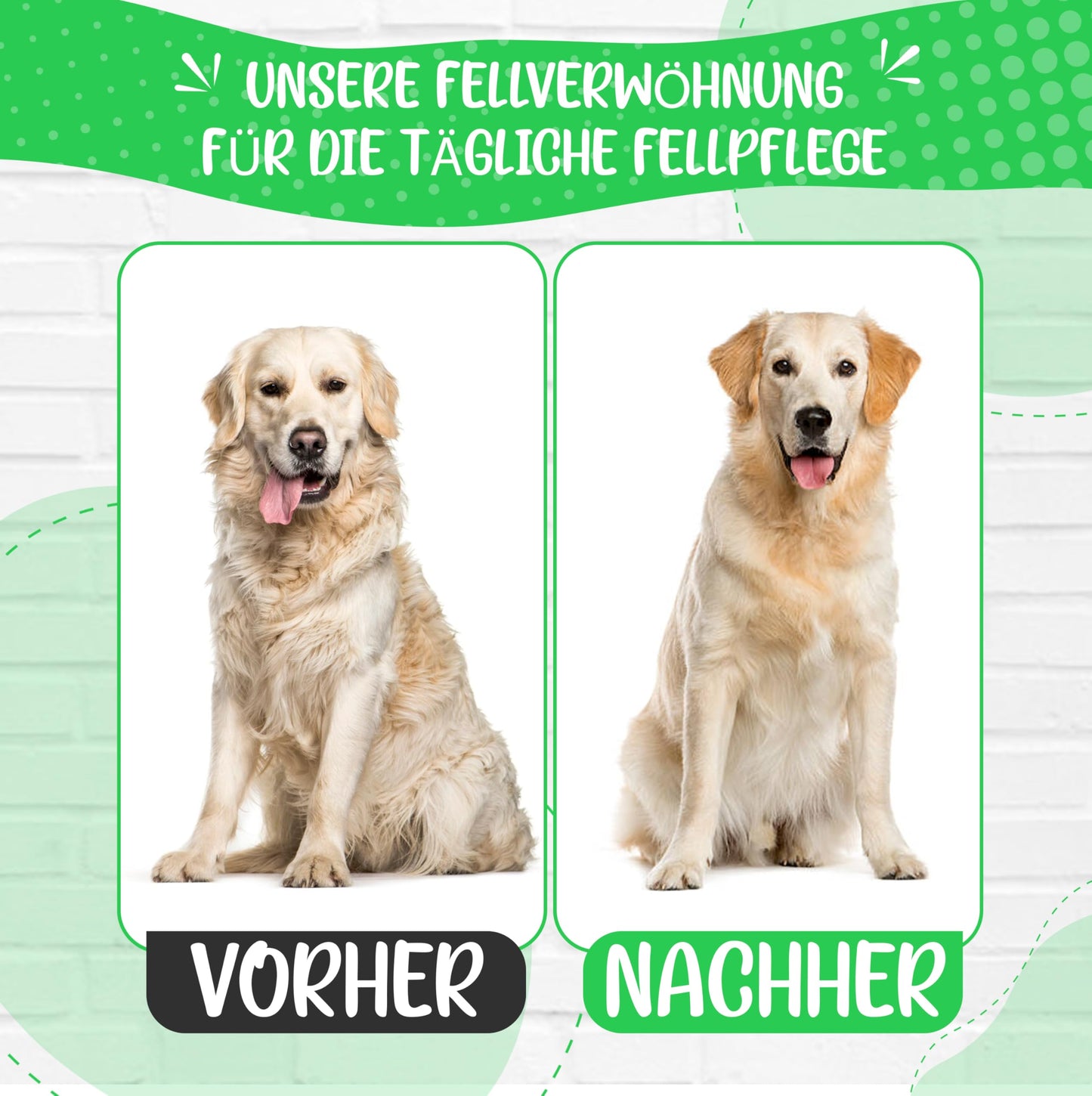Testnote: Sehr gut - Softbürste verbesserte Version I Sanfte Fellpflege für Hunde, Welpen, Katzen, Hasen, Hamster I + Gratis E-Book Pflegehandbuch
