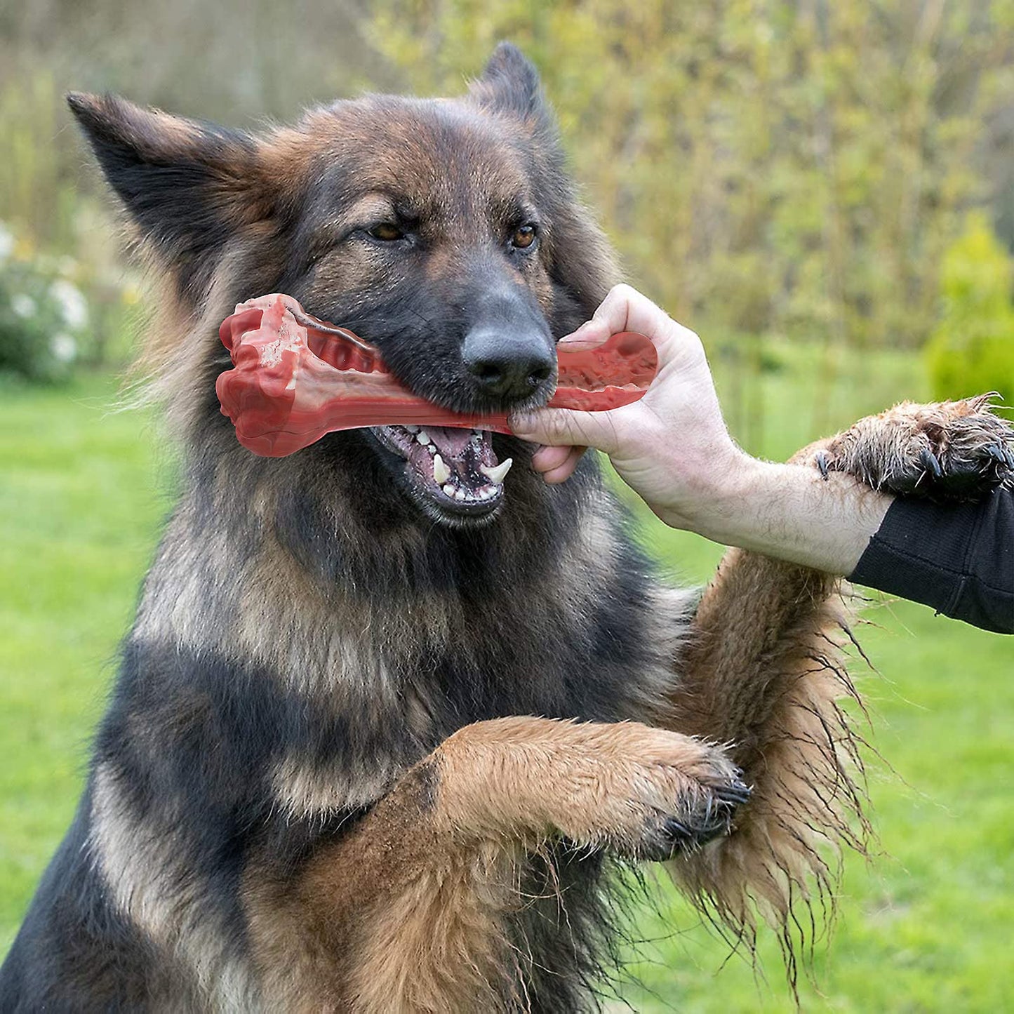 MASBRILL Hundespielzeug, unzerstörbares Kauspielzeug für große Rassen, aggressives Kauen, Robustes Zahnspielzeug für Haustierzahnreinigung, interaktives Hundespielzeug aus Naturkautschuk, gegen