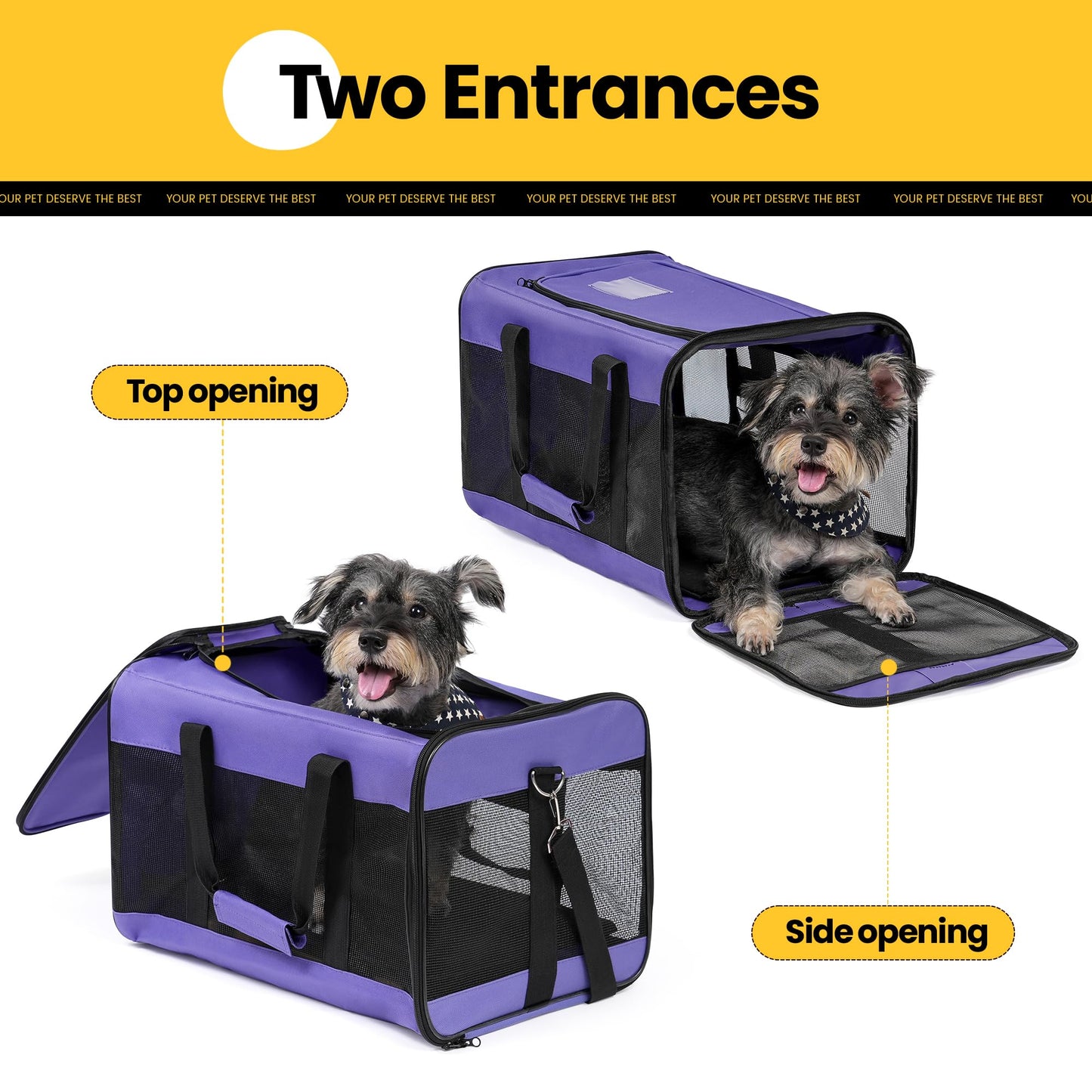 Conlun Hundetransportbox Weichseitig, Große Tasche für Katzen mit Innenleine, Transport für große Katzen und mittelgroße Hunde bis 9 kg, Zusammenklappbare Reisetasche für Welpen -Lila,L