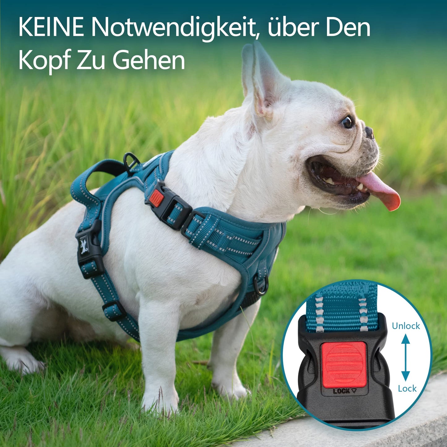 PoyPet Hundegeschirr ohne Zug, Reflektierendes Hundegeschirr für Hunde ohne Würgen, verstellbare, weich gepolsterte Haustierweste mit einfachem Steuergriff für mittelgroße Hunde (Tumalo Teal, M)