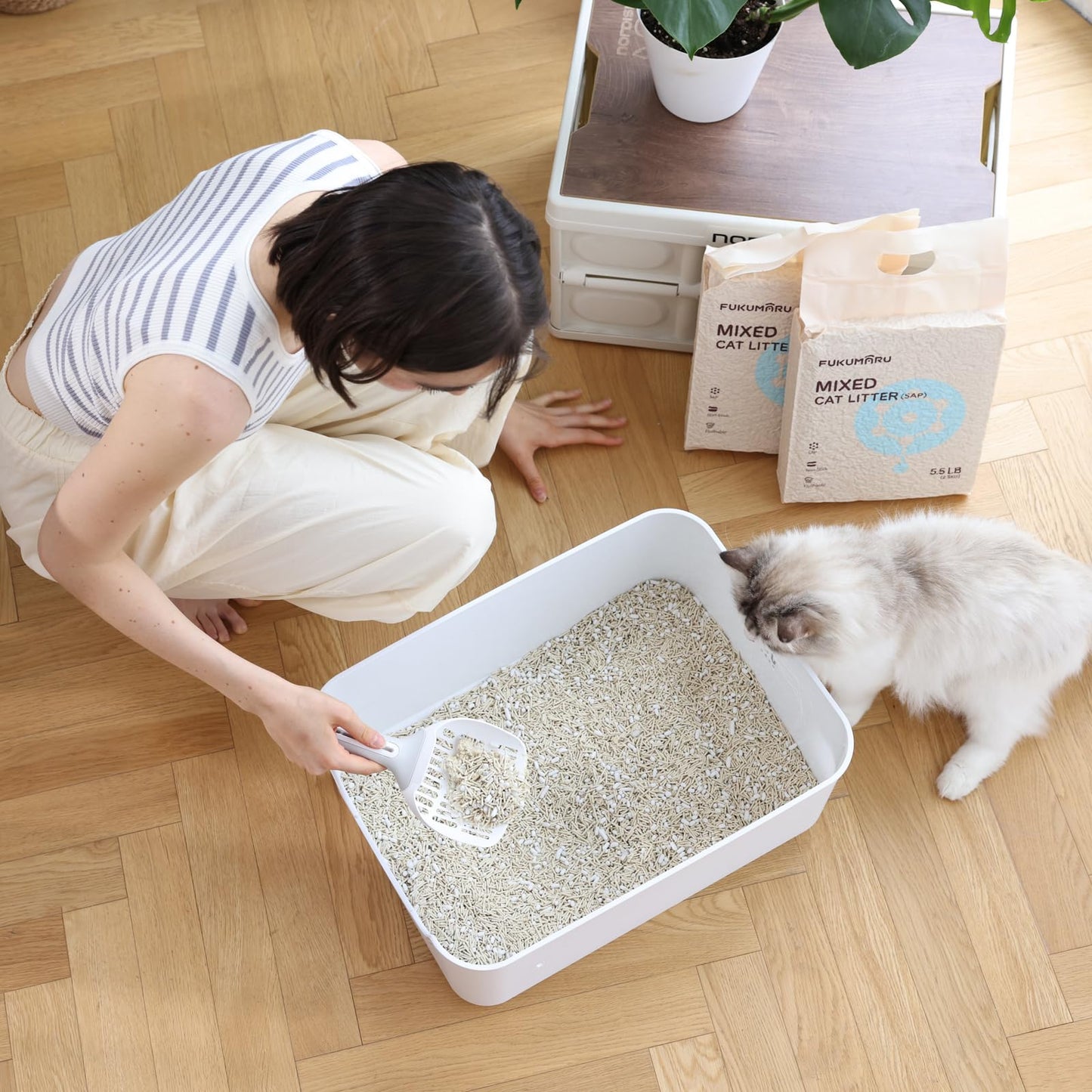 FUKUMARU Tofu Katzenstreu 10.8kg, schnell klumpendes Katzenstreu mit super saugfähigem Material, sofort absorbierend, staubfreies, geringe Spurenbildung, spült in der Toilette,Geruchskontrolle