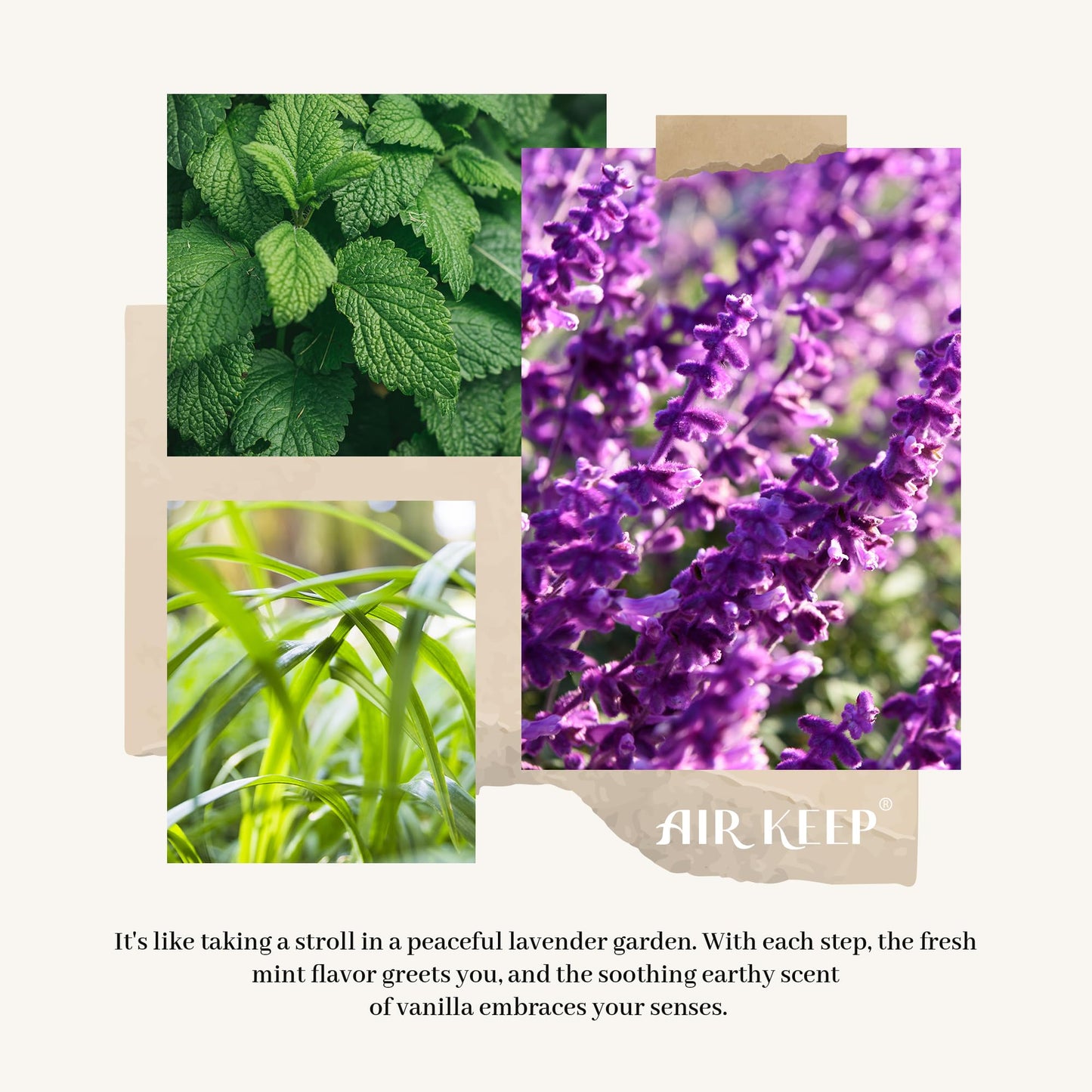 Airkeep Raumduft 300ml, Lavendel-Eukalyptus Duft, Duftstäbchen mit 8 Stäbchen, Luxus Lufterfrischer für Zuhause, Büro & Bad