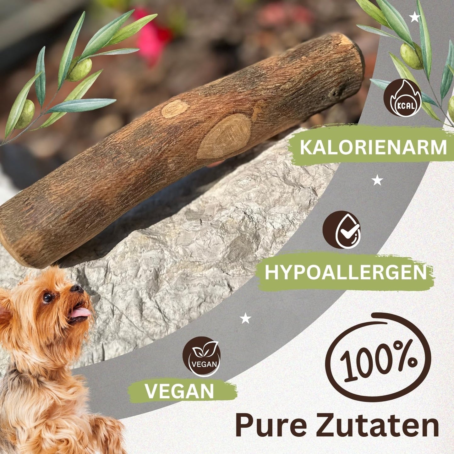 PetLove Kauholz für Hunde aus Olivenholz • Holzknochen als Hundespielzeug • Kauknochen als Zahnpflege & Kauspielzeug für Hund • Größe: S (60-99g) • Ideal für Welpen & kleine Hunde