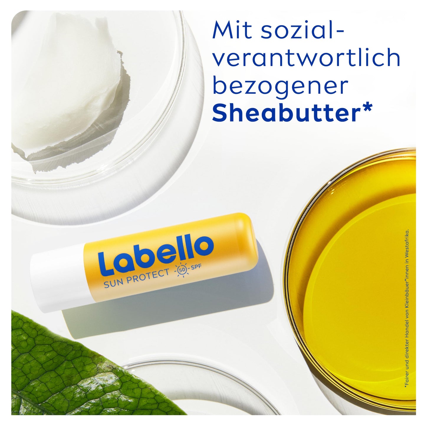 Labello Sun Protect LSF 50, wasserfeste Lippenpflege mit hohem Sonnenschutz, mineralölfreie Lippenpflege mit Sheabutter, Vitaminen & natürlichen Ölen (4,8 g)