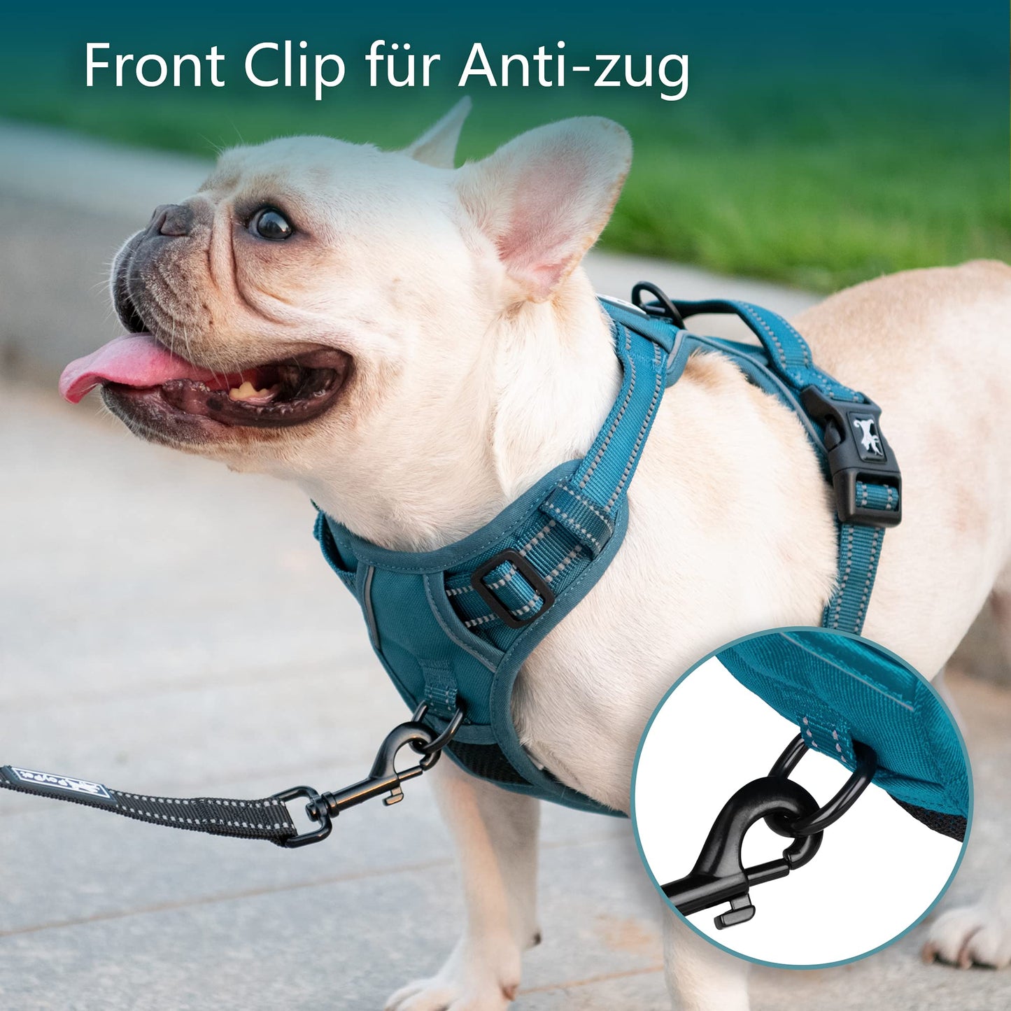 PoyPet Hundegeschirr ohne Zug, Reflektierendes Hundegeschirr für Hunde ohne Würgen, verstellbare, weich gepolsterte Haustierweste mit einfachem Steuergriff für mittelgroße Hunde (Tumalo Teal, M)