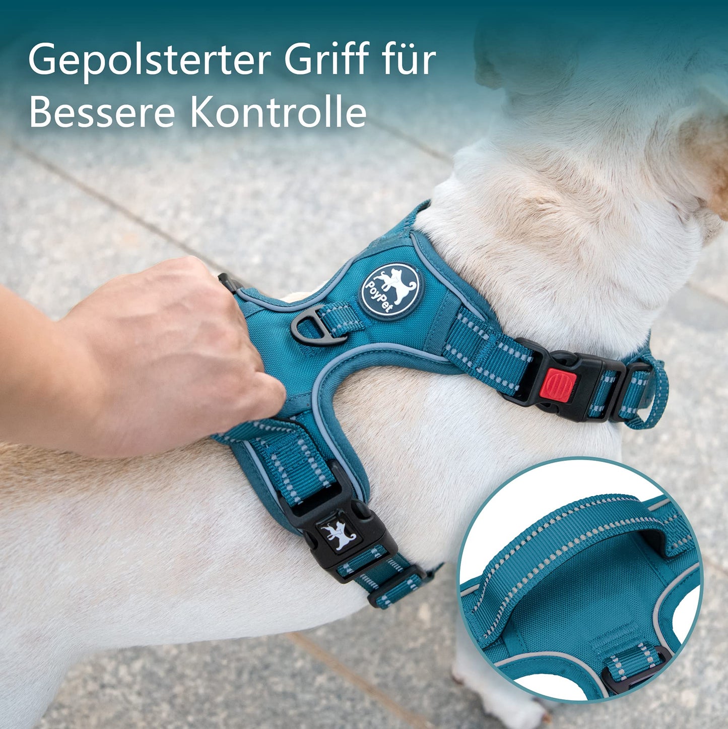 PoyPet Hundegeschirr ohne Zug, Reflektierendes Hundegeschirr für Hunde ohne Würgen, verstellbare, weich gepolsterte Haustierweste mit einfachem Steuergriff für mittelgroße Hunde (Tumalo Teal, M)
