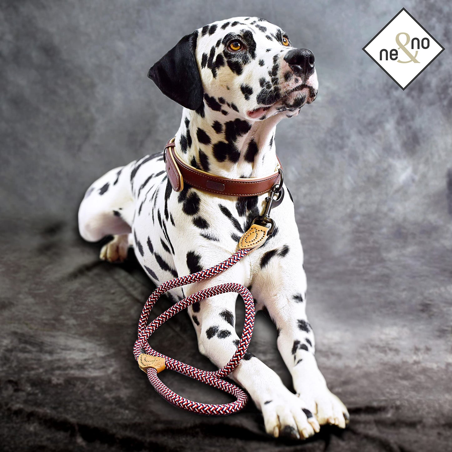ne&no® Hundeleine (blau/weiß/rot) Tauleine für Hunde I Trainingsleine für Hunde I Führleine rund, geflochten I Handschlaufe Seilleine Hund I Cityleine I 1.2m Dog Leash