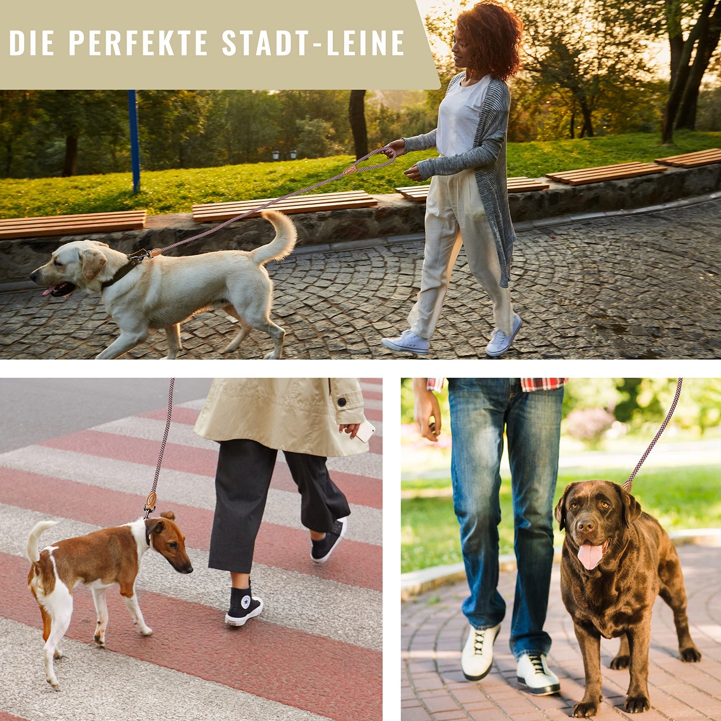 ne&no® Hundeleine (blau/weiß/rot) Tauleine für Hunde I Trainingsleine für Hunde I Führleine rund, geflochten I Handschlaufe Seilleine Hund I Cityleine I 1.2m Dog Leash