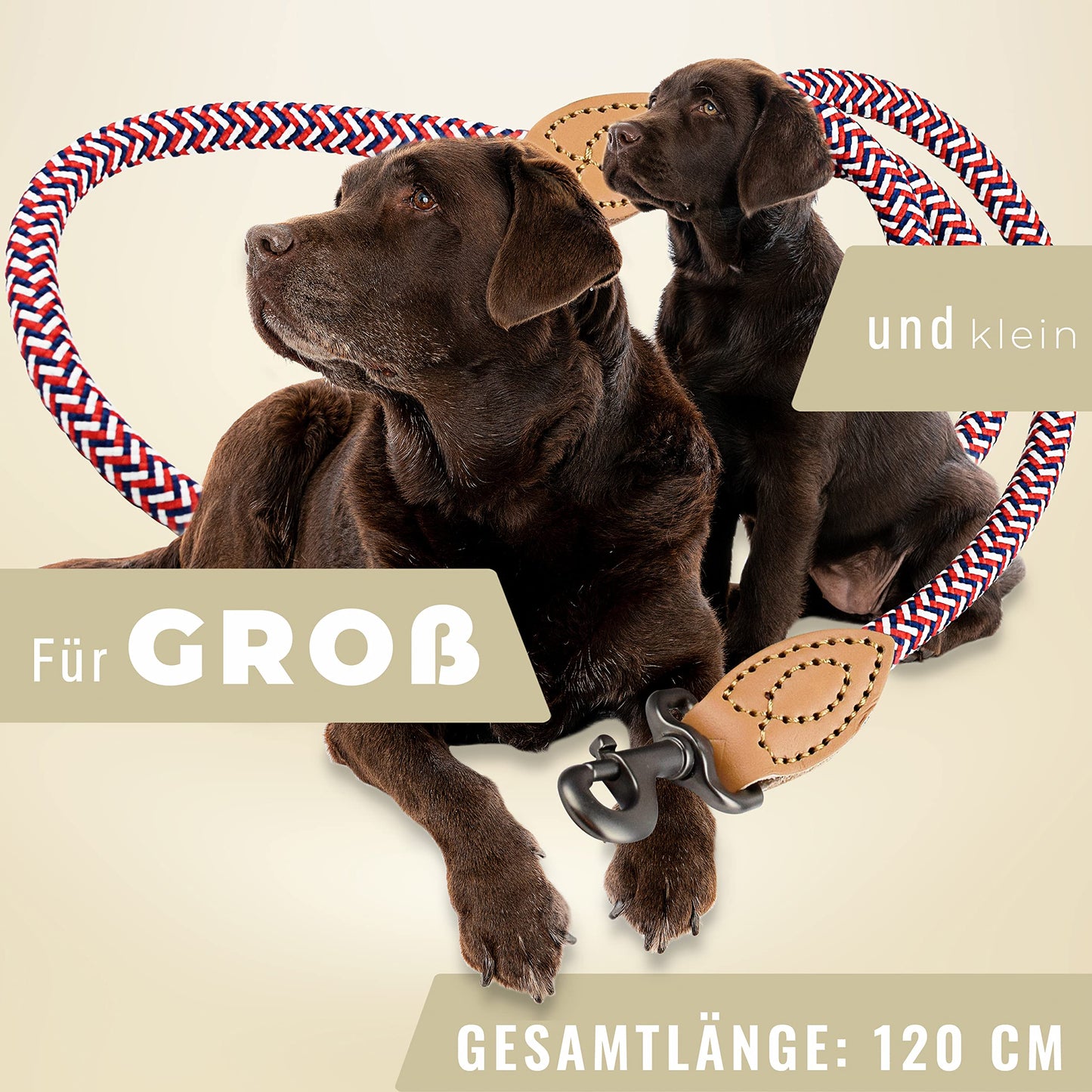 ne&no® Hundeleine (blau/weiß/rot) Tauleine für Hunde I Trainingsleine für Hunde I Führleine rund, geflochten I Handschlaufe Seilleine Hund I Cityleine I 1.2m Dog Leash
