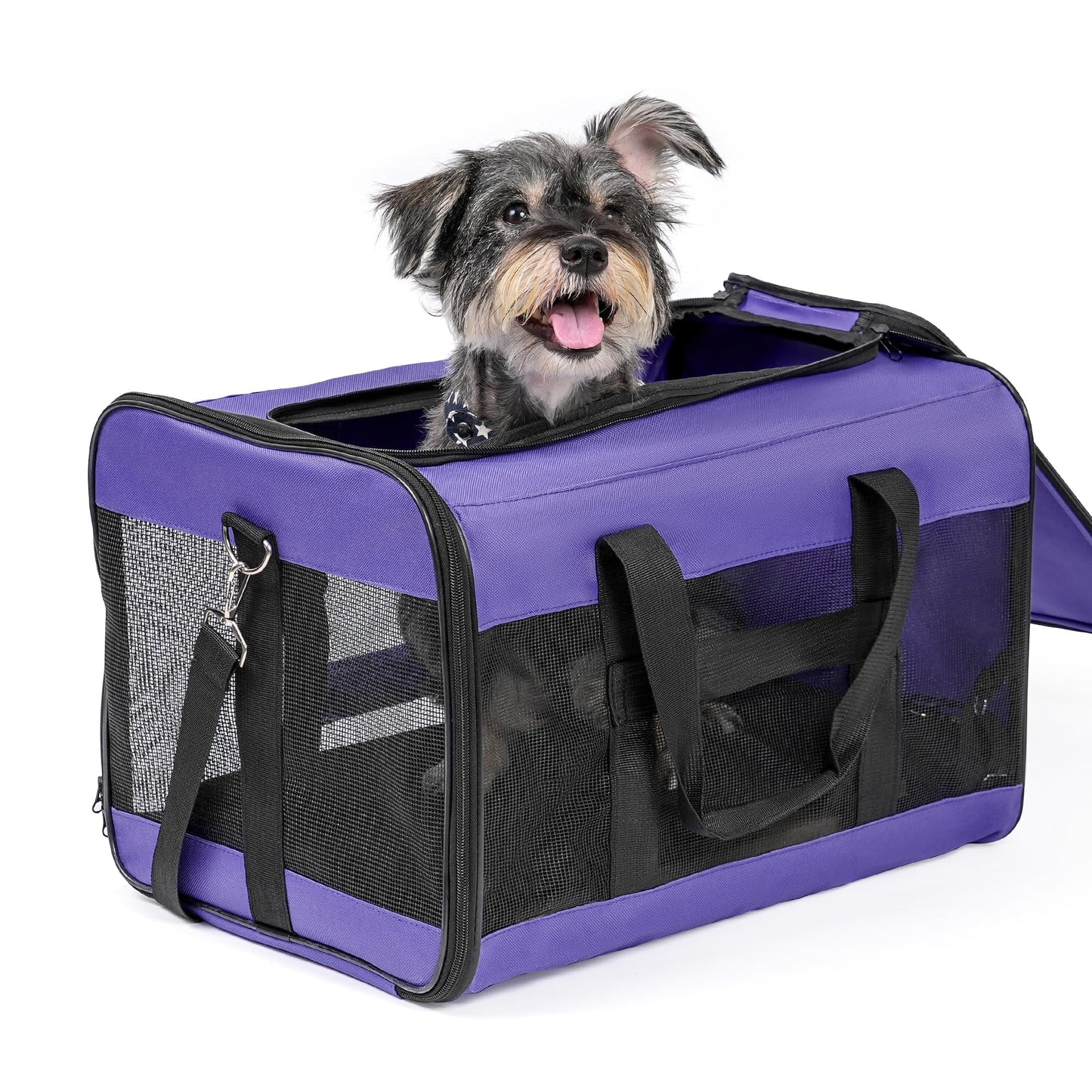 Conlun Hundetransportbox Weichseitig, Große Tasche für Katzen mit Innenleine, Transport für große Katzen und mittelgroße Hunde bis 9 kg, Zusammenklappbare Reisetasche für Welpen -Lila,L