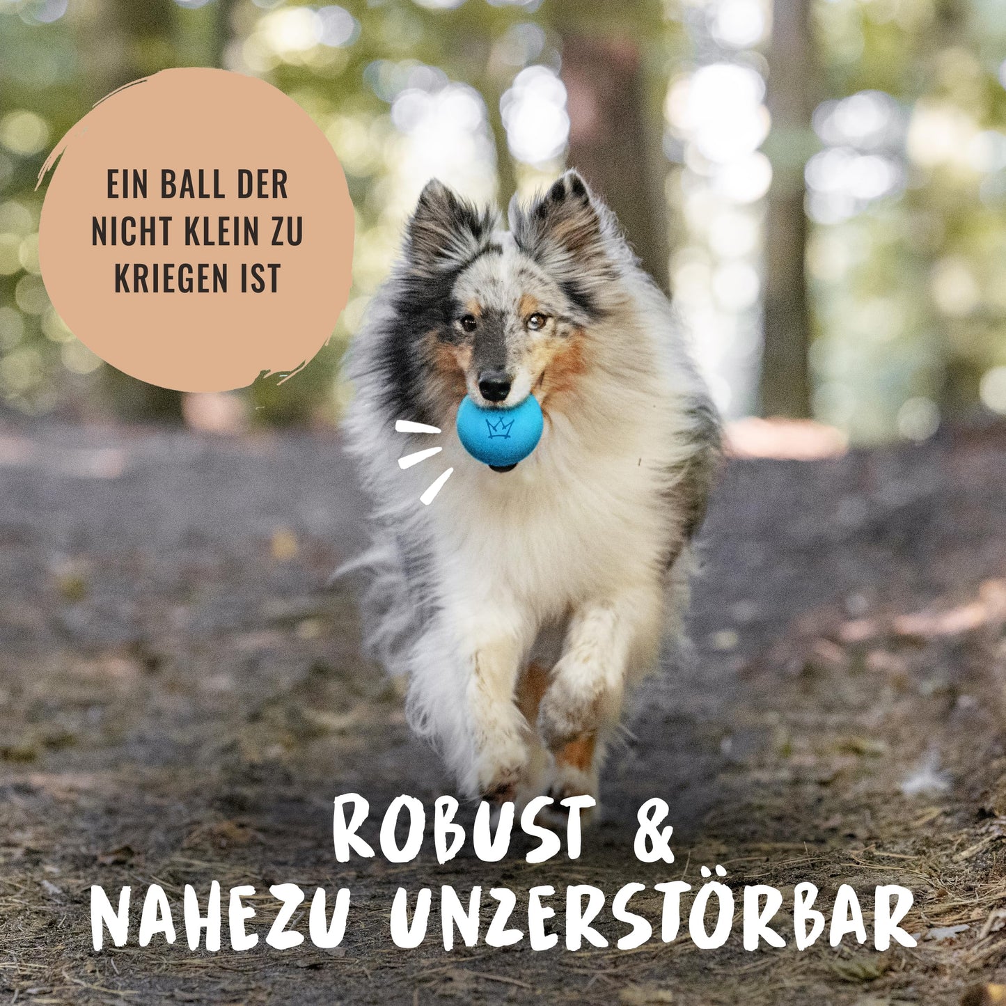 Rudelkönig Hundeball aus Naturkautschuk - Blauer Ball mit 6,5cm Ø - Nahezu unzerstörbares Hundespielzeug - Ball Hund
