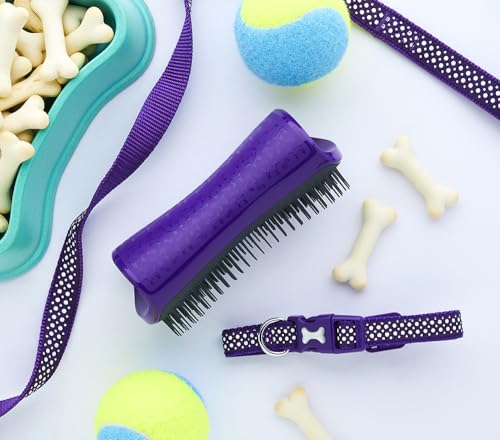 Pet Teezer, Fellpflegebürste für Hunde, Violett/Grau