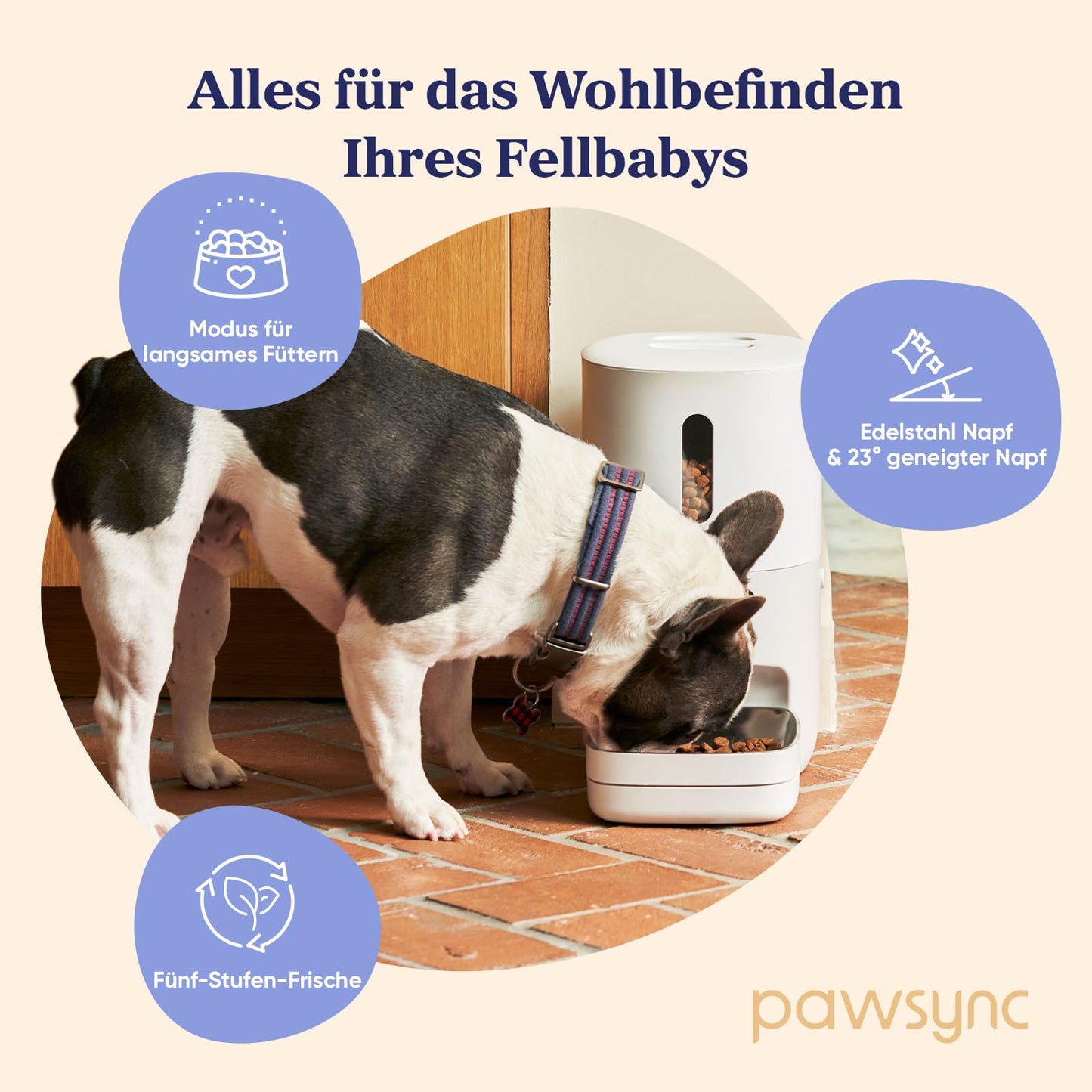 Pawsync Smart Futterautomat, 3 Stück, Farbwechselnde Erinnerung, Haustierfutter-Trockenmittel hält Futter trocken & frisch, bis zu 3 Monate, App-Benachrichtigungen