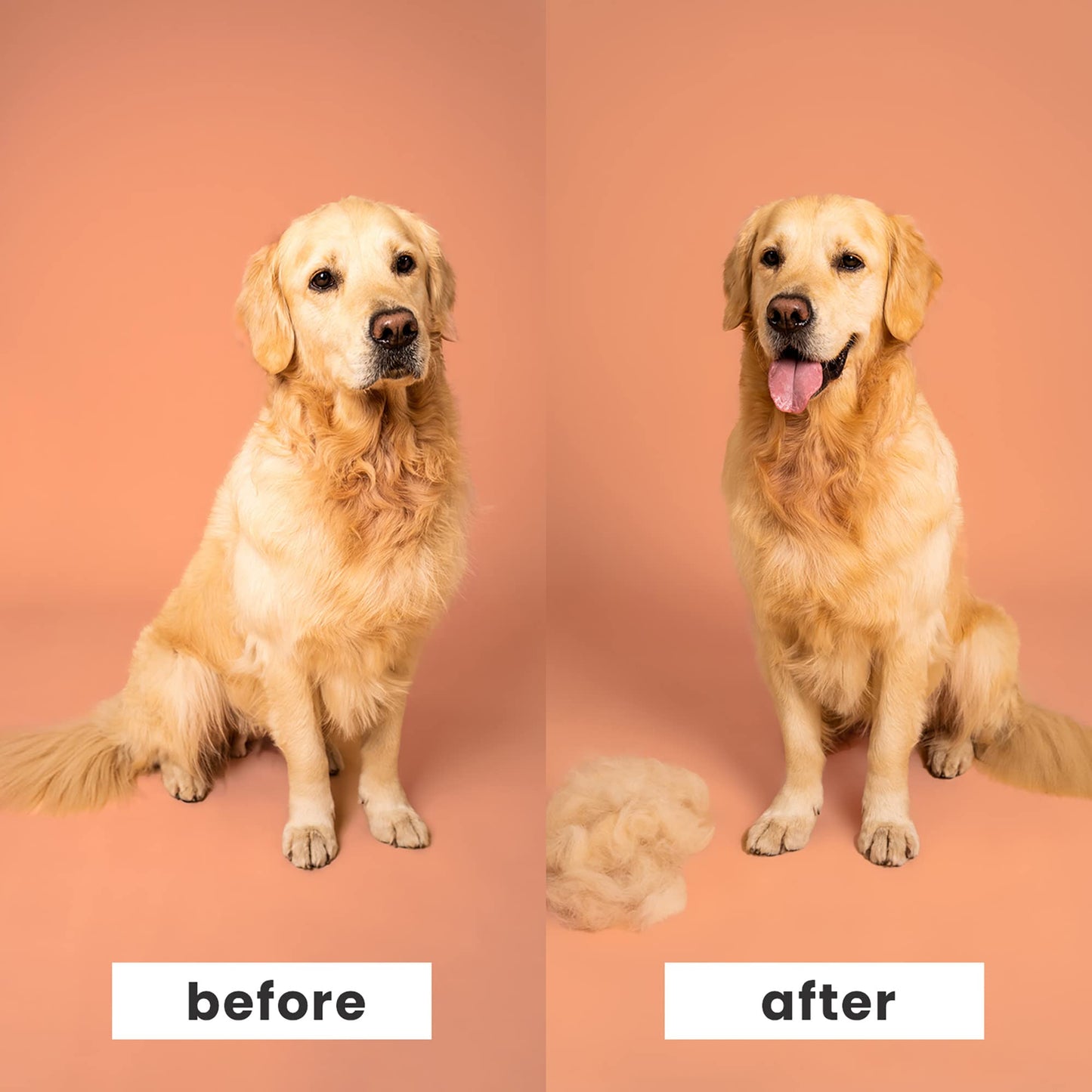 Pet Teezer, Fellpflegebürste für Hunde, Violett/Grau