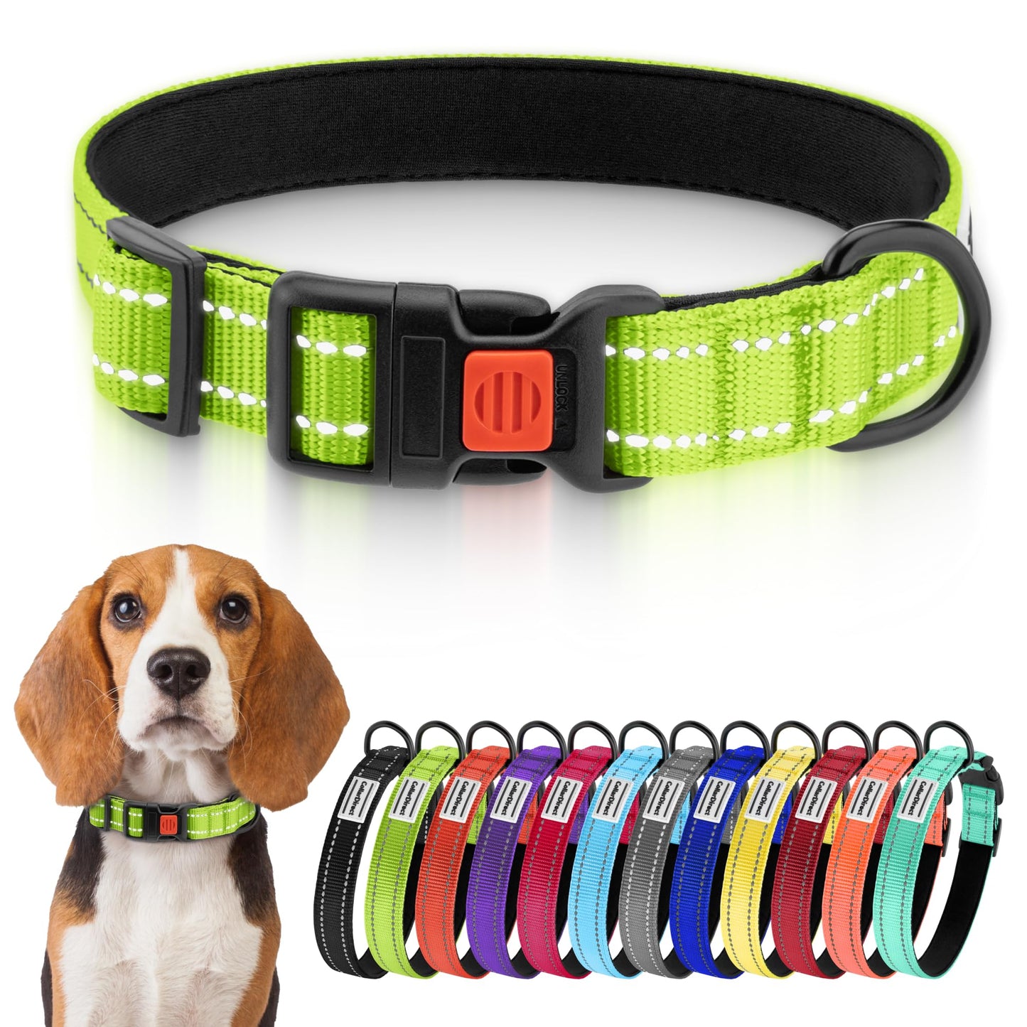 CollarDirect Reflektierendes Hundehalsband für kleinen, mittelgroßen, großen Hund, Welpen mit Schnellverschluss, Hündin, Rüde, 48 Sorten, Nylon Wasserfest