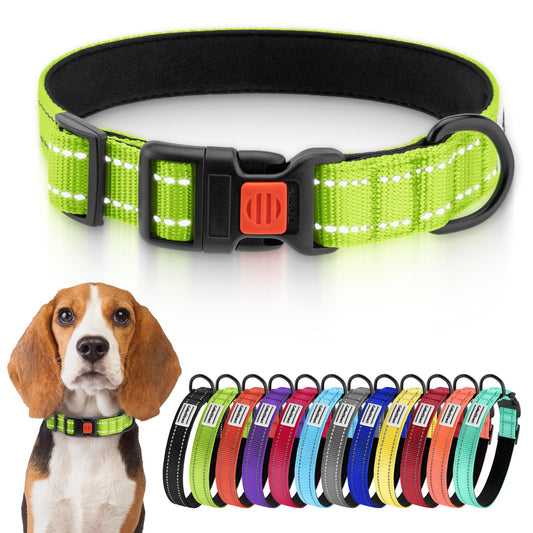 CollarDirect Reflektierendes Hundehalsband für kleinen, mittelgroßen, großen Hund, Welpen mit Schnellverschluss, Hündin, Rüde, 48 Sorten, Nylon Wasserfest