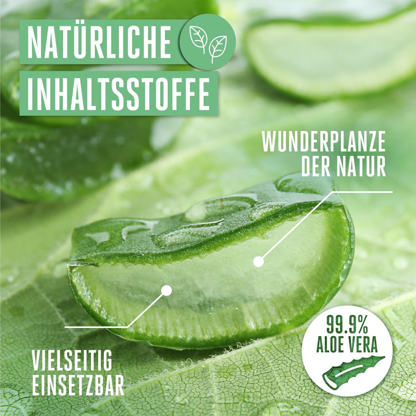 Vitabay Aloe Vera Gel 100 Prozent (99.9%) 250ml - Aloe Vera After Sun Lotion Gesicht Sonnenbrand - Aloe Vera Gesichtscreme Herren Naturkosmetik - Aloe Vera Saft Salbe Feuchtigkeitscreme Gesicht Männer
